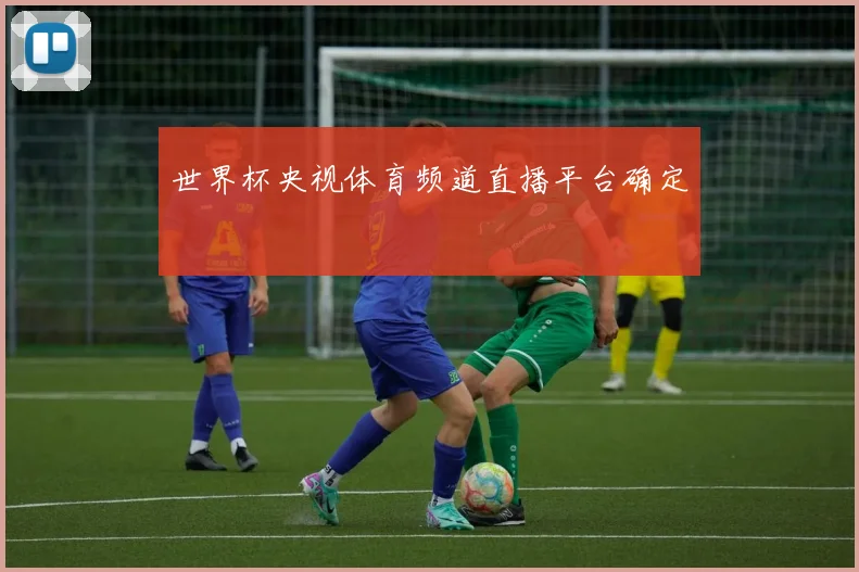 世界杯央视体育频道直播平台确定
