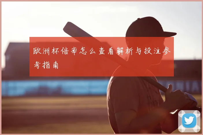 欧洲杯倍率怎么查看解析与投注参考指南