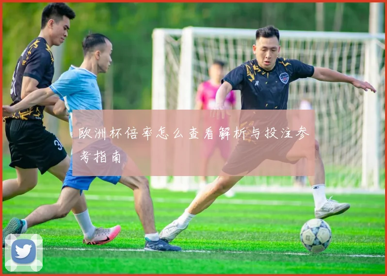 欧洲杯倍率怎么查看解析与投注参考指南