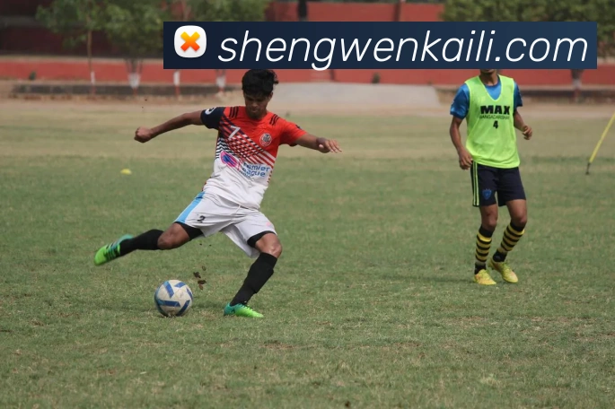 世界杯官网中文版服务体系